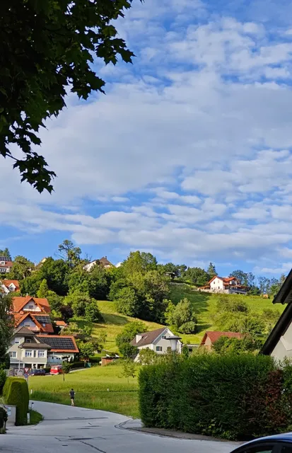 Hidden Gem: JUFA Hotel Weiz - A Business Traveler's Delight!