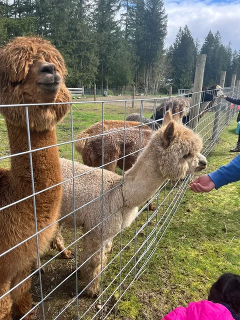 A Family-Friendly One-Day Trip Around Seattle