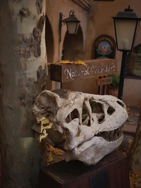 🌵 AZ’s Spiritual Town: Unlocking Sedona’s Mystical Energy Vortexes ✨