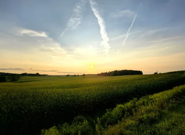  Evening Trail Walk in Waterloo – Cornfield Sunset Edition