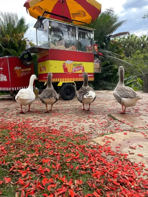 Travel Diary: My Belo Horizonte Moments 🇧🇷✨