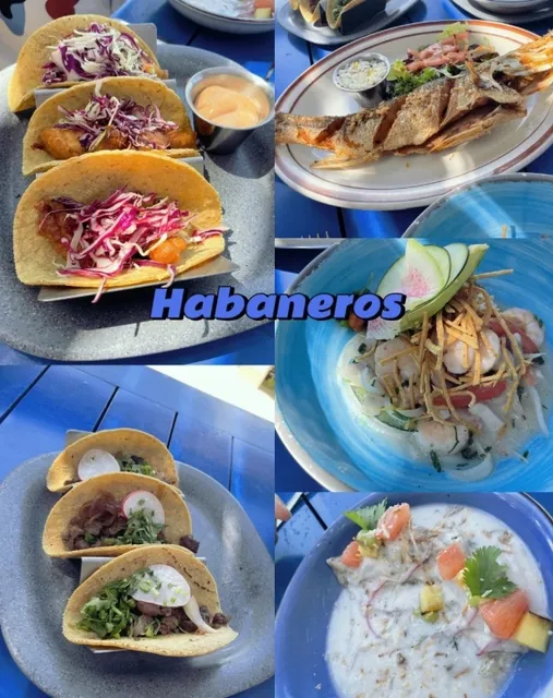 Dining Guide: Hyatt Ziva Cancún