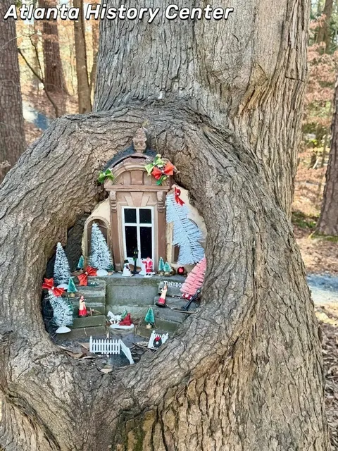 ATL History Center 40%OFF✨