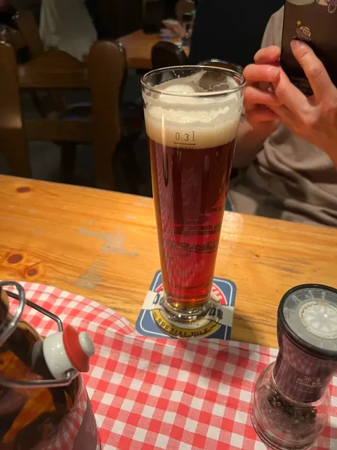 🇩🇪 The Perfect German Meal in Heidelberg for Treating Friends 