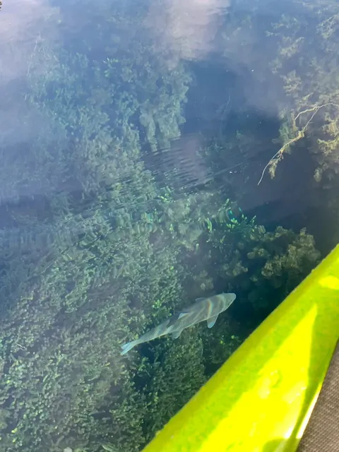 Blue Heart Spring in Boise 💙 | A Hidden Gem Like Jiuzhaigou!