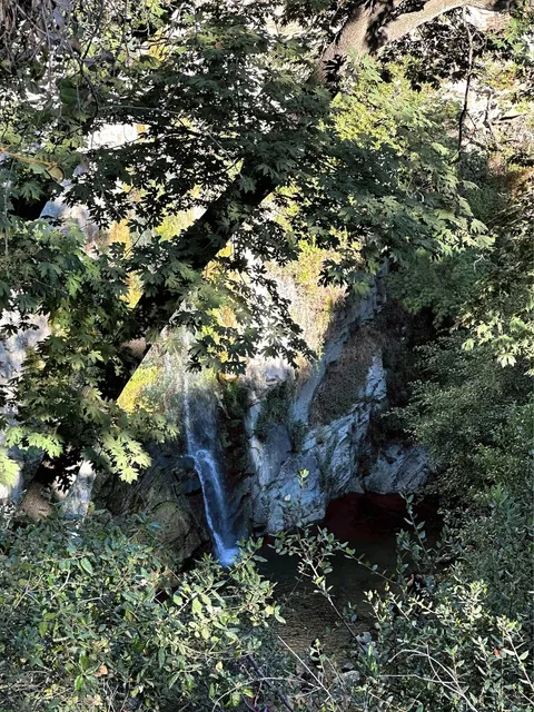 LA Hiking – Spruce Grove Campground Trail 🏞️🥾  