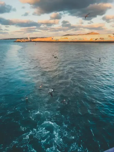 Jeju’s Visa-Free Policy Is Such a Great Deal! 🌴 