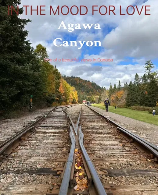 Visit the Agawa Canyon 