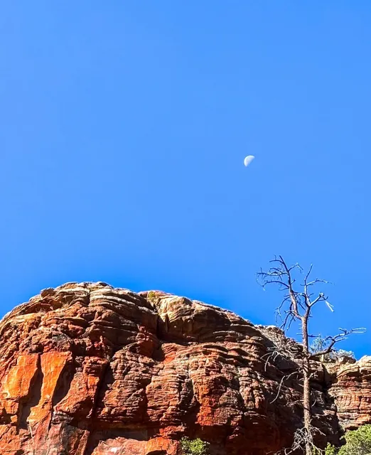 Sedona 🏜️｜A Hiking Paradise in the Heart of the Red Rocks