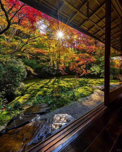 Rurikou-in Autumn Special Opening 🍁