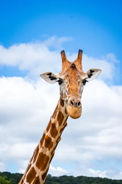 Hey 👋 | Where to Go for the Weekend in the USA