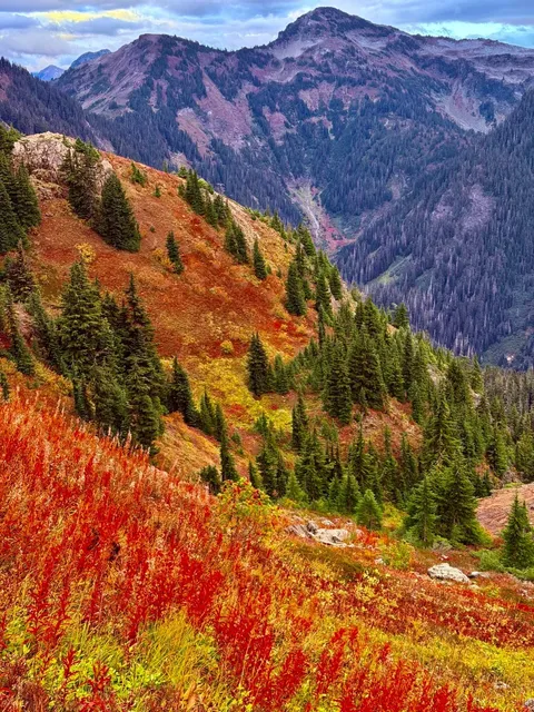 Hiking｜Yellow Aster Butte 🍁