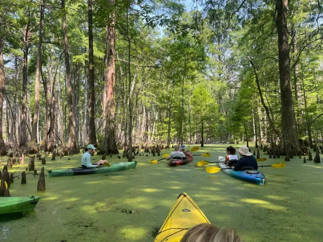 Wonderful Northwest to Lowcountry Experience! 🌲➡️🌊