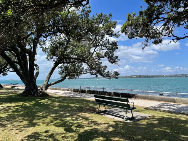 Auckland’s Must-Visit Spots! 1-Day Power Walk Itinerary 🚶‍♂️⚡