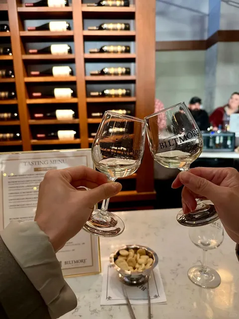 Asheville, NC: A Perfect 2-Day Getaway 🏰