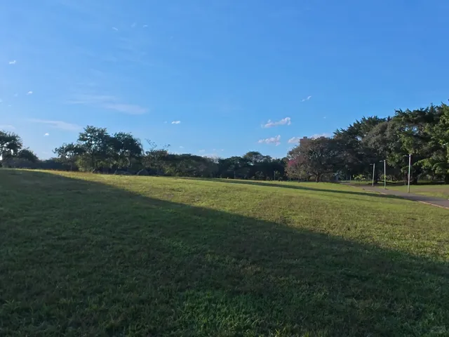 🇧🇷｜Don't Come to University of São Paulo Just for Capybaras!