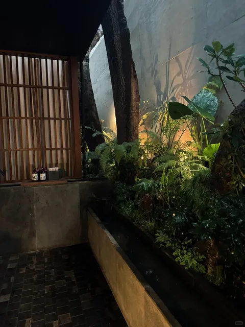 CDMX Milestone: An Evening at Pujol 🌮🍷✨