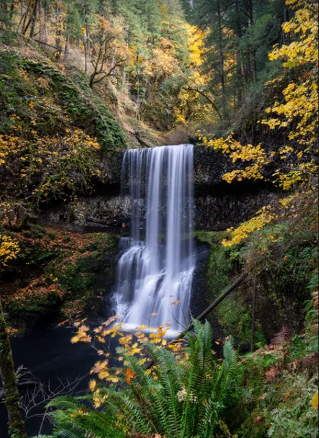 Portland Autumn Colors | Silver Falls 🍂 at Peak Beauty!