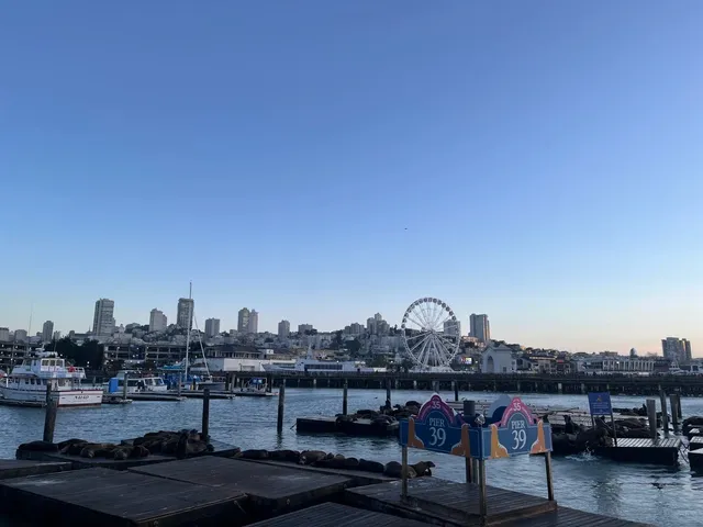 San Francisco 🇺🇸