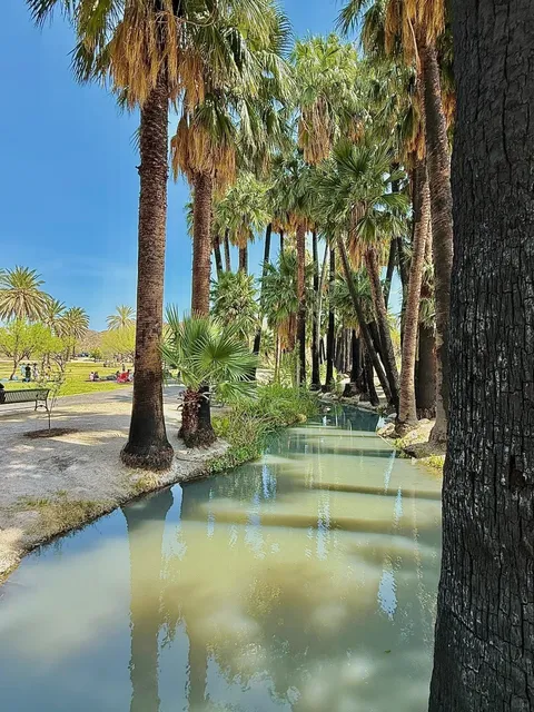 🇺🇸 Who Knew? Tucson’s Hidden Oasis – Agua Caliente Park! 🌴🦆