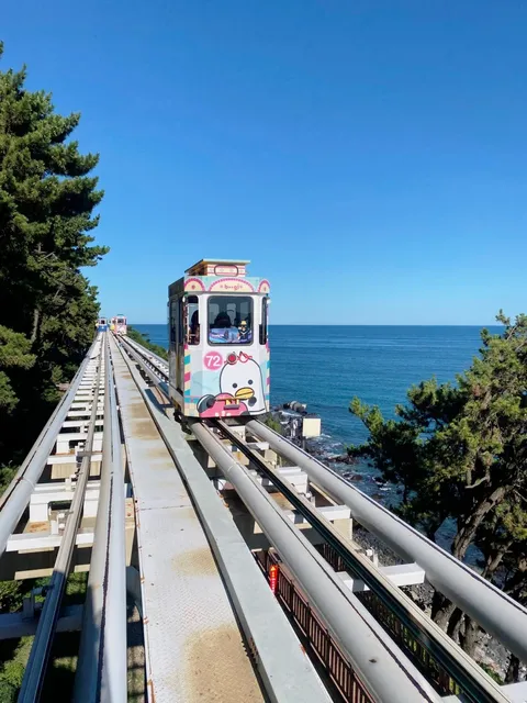 The Best Decision for Busan: Ditching the 24-Hour Pass!