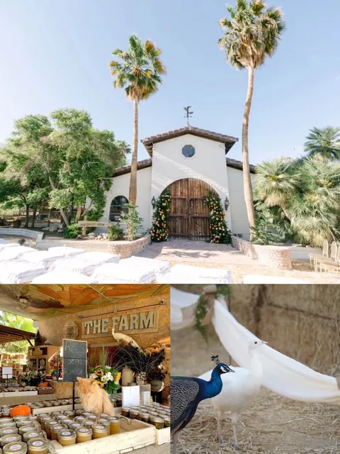 Vegas Kid-Friendly Farms 🌳 Weekend Outdoor Fun Guide for Families! 🌈