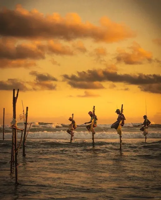 The gorgeous view in Srilanka--StiltFishermen