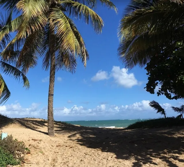 Playa Ocean Park: A Family-Friendly Seaside Retreat