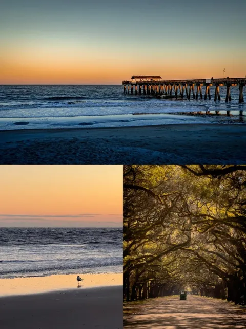 🎄 Christmas in Savannah | A Magical Southern Getaway 