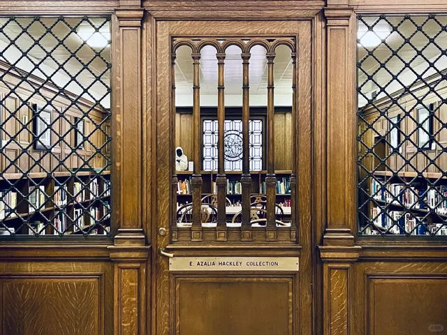 A Glimpse of the Detroit Public Library 📚✨