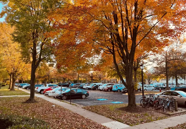 Autumn in Virginia 🍁 | A Season of Golden Moments