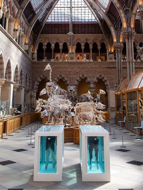 Oxford One-Day Citywalk 🏫 No Wasted Steps 👣