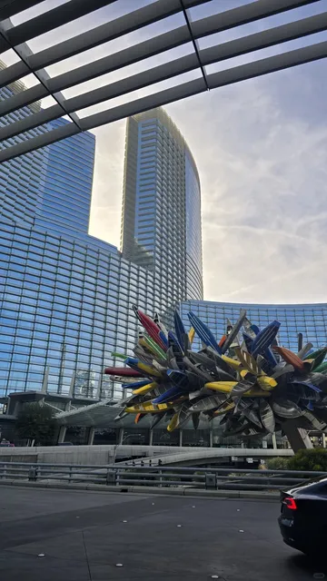 A Cozy Thanksgiving Morning at Vdara 🍁✨
