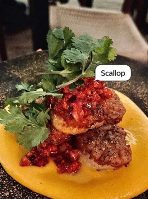 Colita 🌵 | Minneapolis' Oasis of Artful Dining & Mescal Magic!