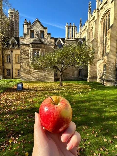 🇬🇧 Cambridge Under the Sun is Breathtakingly Beautiful! ☀️