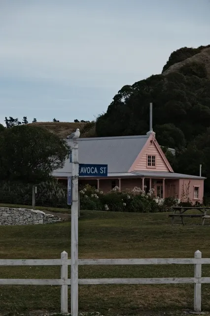 🇳🇿 Kaikoura, NZ: Where the Ocean Steals Your Heart! 🌊