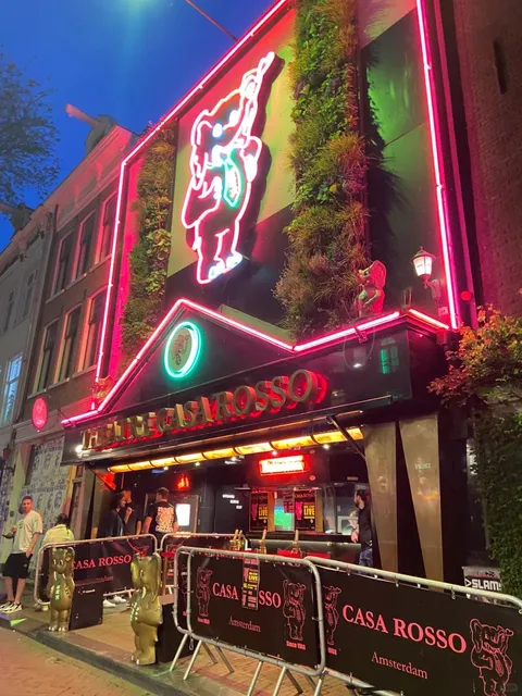 🇳🇱 Amsterdam Travel Guide by Little Piggy 🐷✨