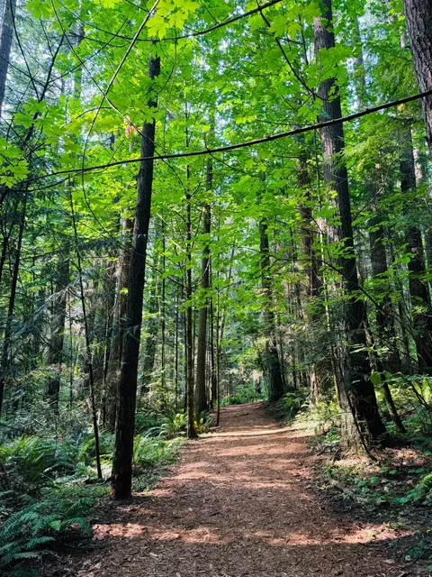 Seattle with Kids | Free Animal Petting and Hiking in Redmond