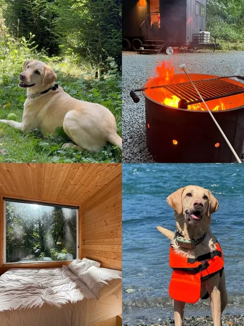 Skip the Campsite Chaos—Try This Marriott Gem! 🏕️✨