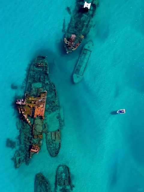 Finally, someone tells me how to really explore Brisbane‼️