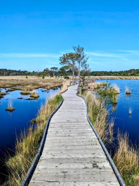🇬🇧 Secret Hiking Paradise Just 1hr from London!