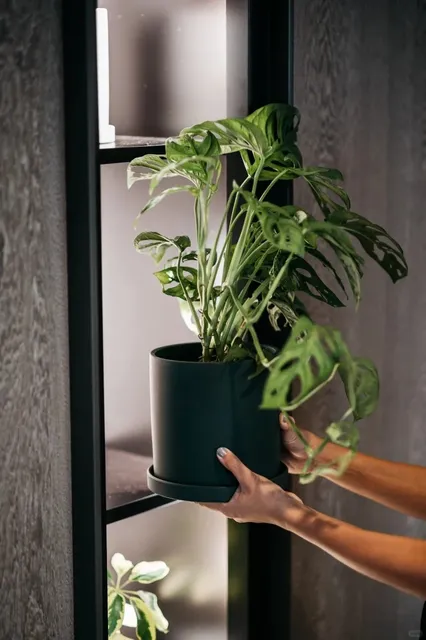 Recommend a Hotel in Singapore 🏨