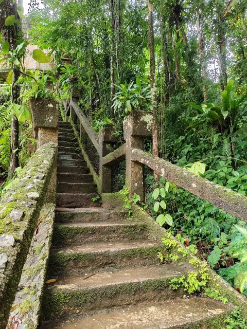 Paronella Park – Australia’s Real-Life "Castle in the Sky" 🏰🌿✨