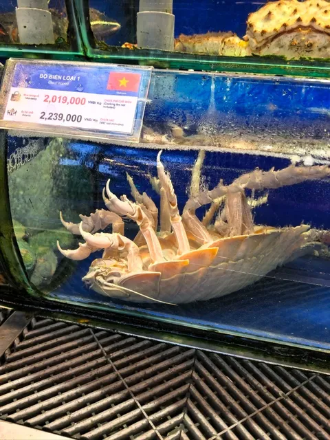 🇻🇳 Would You Spend $200K on This Meal?