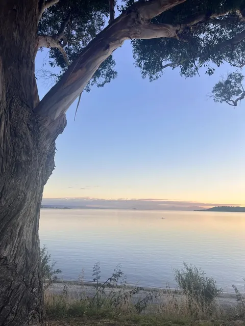 🇳🇿 Taupō’s Perfect Blend of Nature & Art: A Hidden Gem Itinerary 🌿