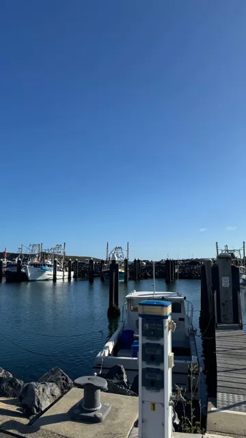 📍 Coffs Harbour | A Self-Driver's Hidden Paradise