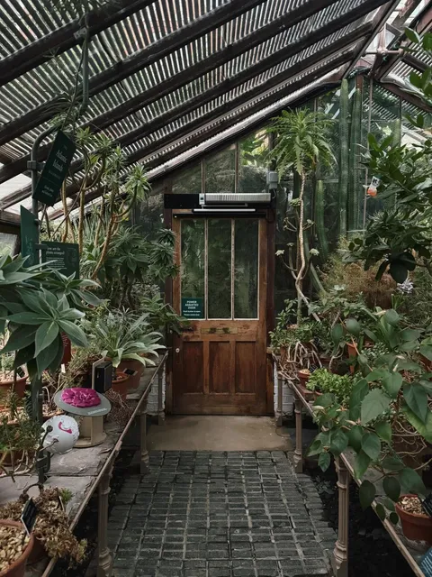 🇬🇧 Midnight in London’s Secret Herb Garden 🌿✨  