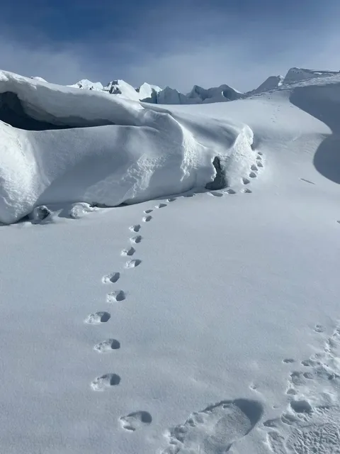 Alaska Travel Bible | 3-DAY “Soft-Core” Anchorage Winter Plan 