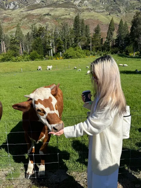 🇳🇿 Queenstown · The TSS Steamship is SO Worth It!!