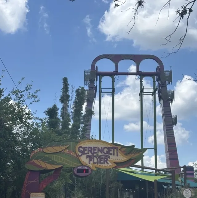 The Food and Scenery of Tampa!